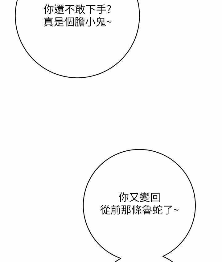 第77张