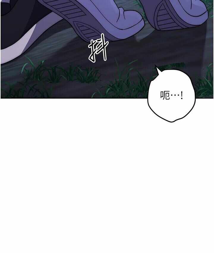 第16张