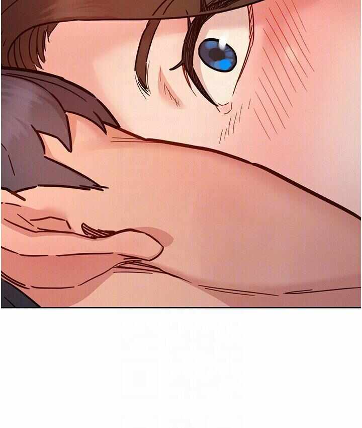 第92张