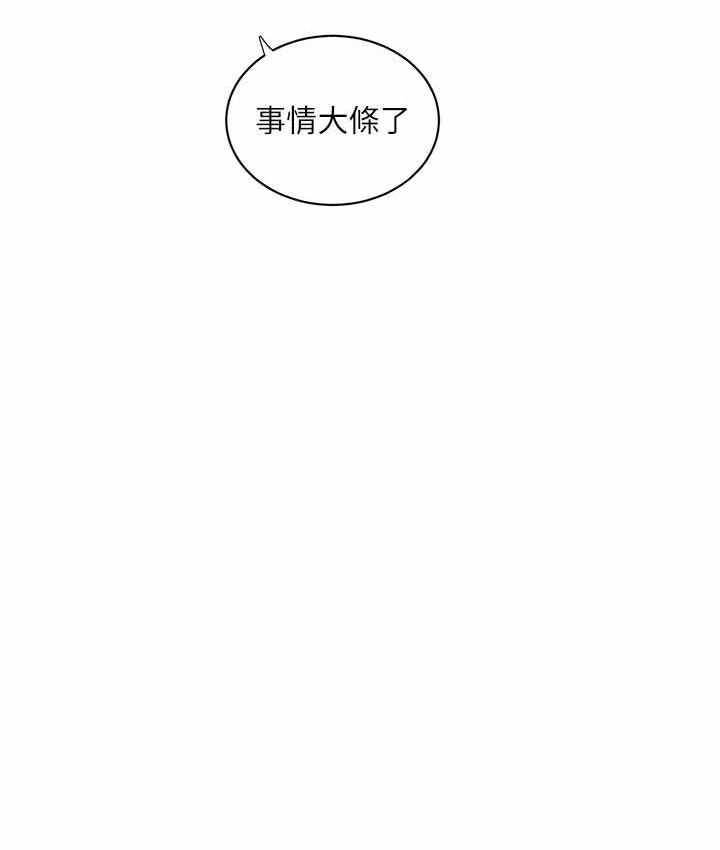 第51张