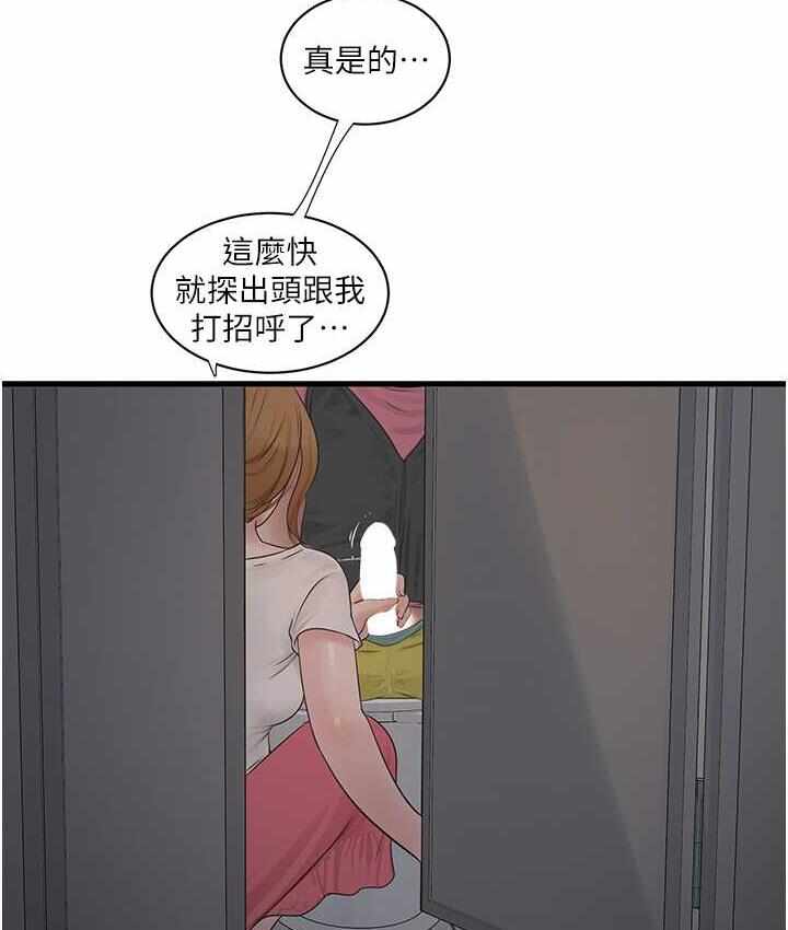 第81张