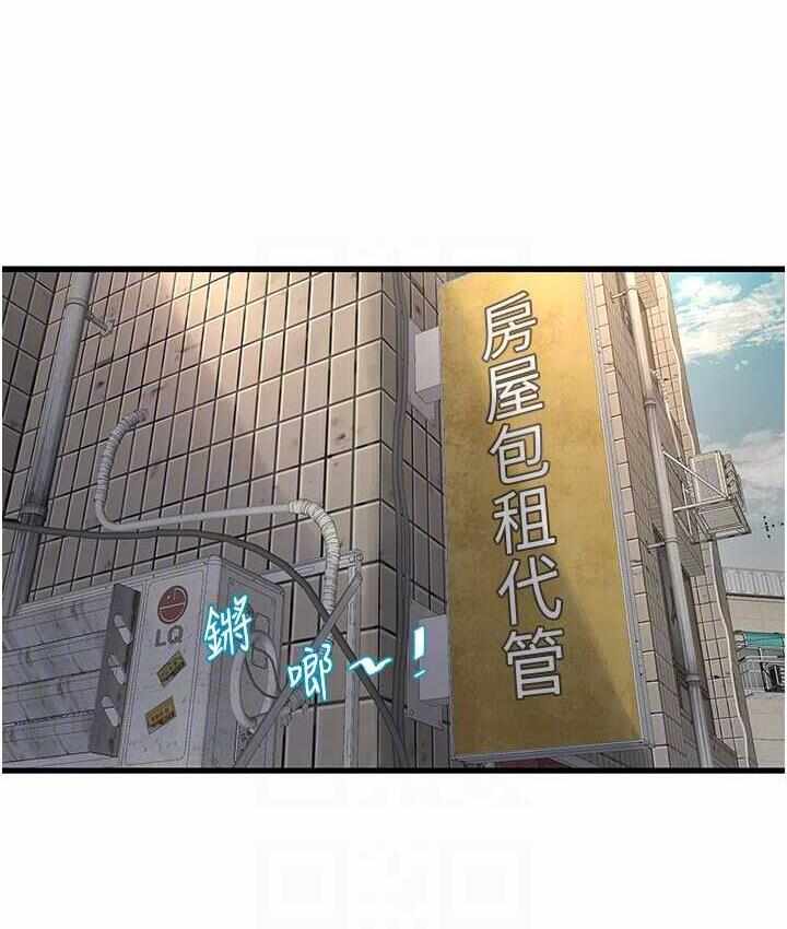 第11张