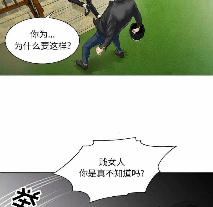 第81张