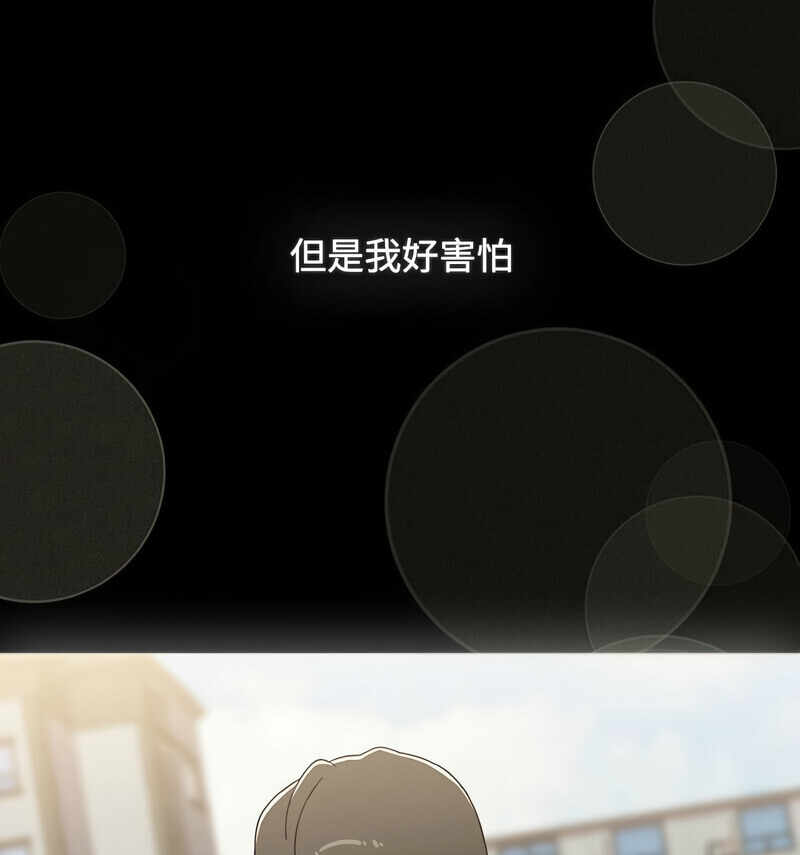 第51张