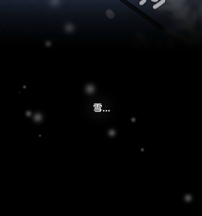 第204张