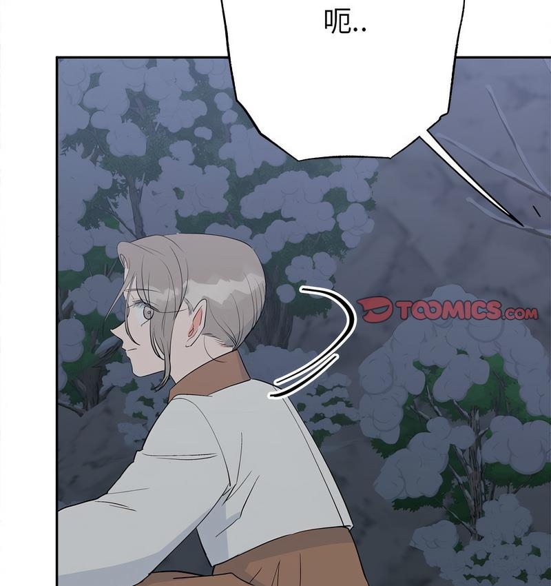 第54张