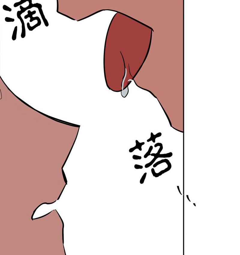 第3张