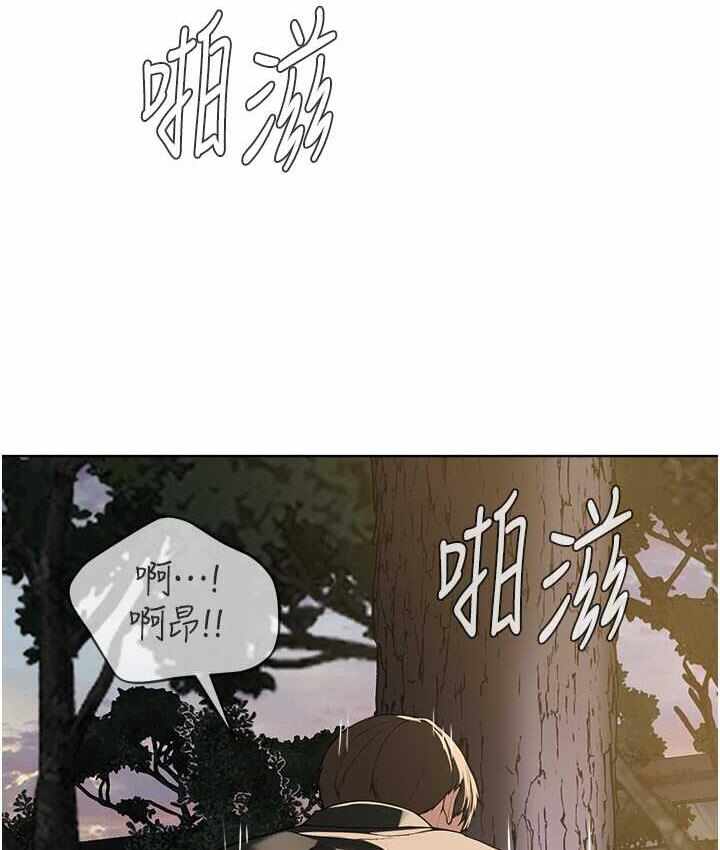 第123张