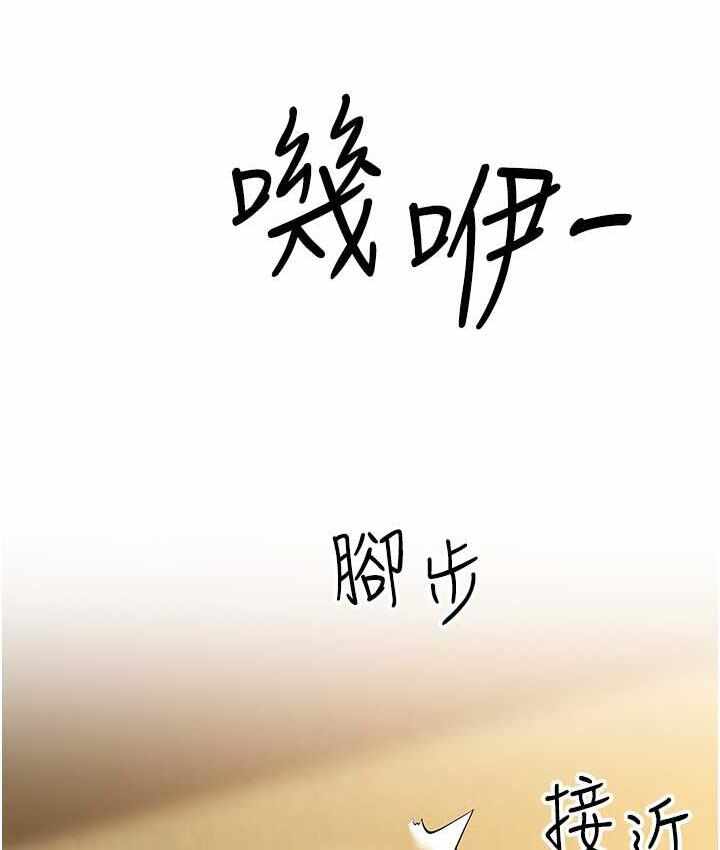 第5张