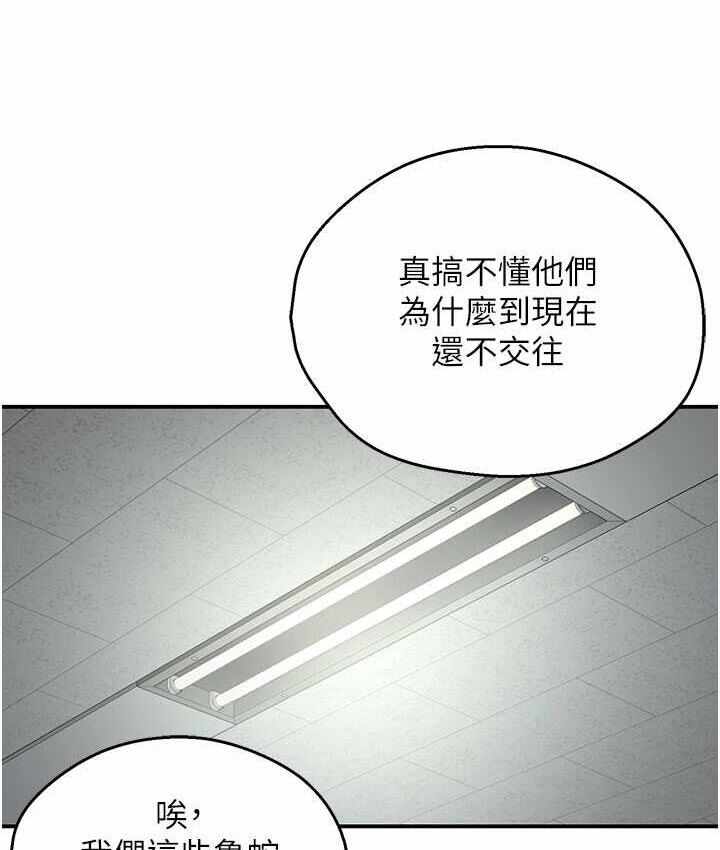 第73张