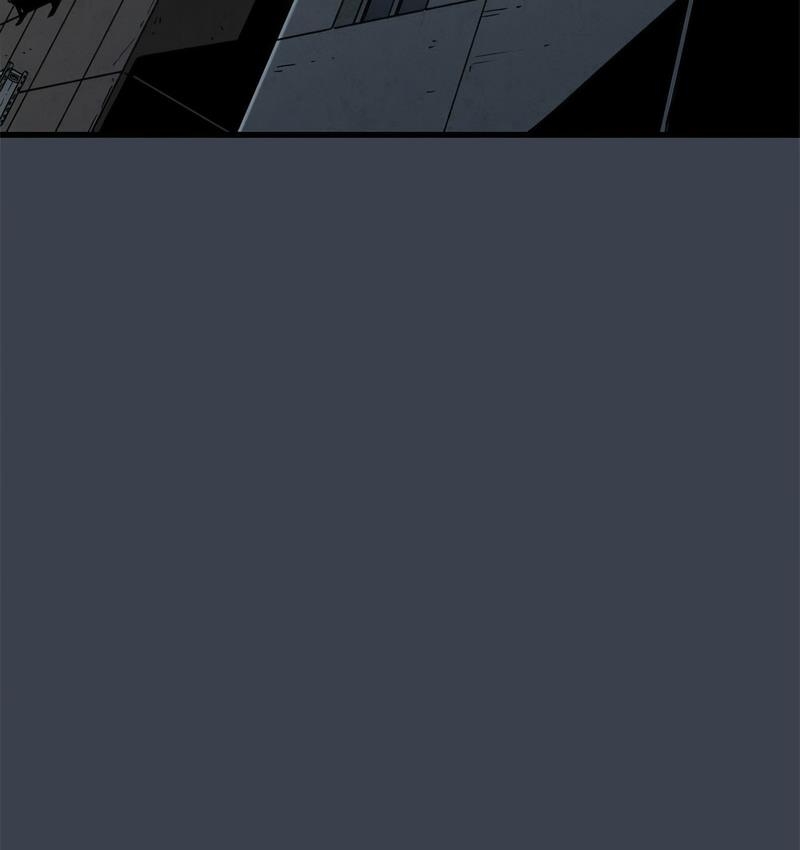 第135张