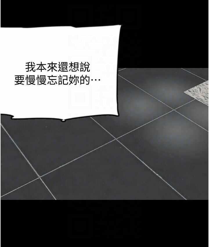 第43张