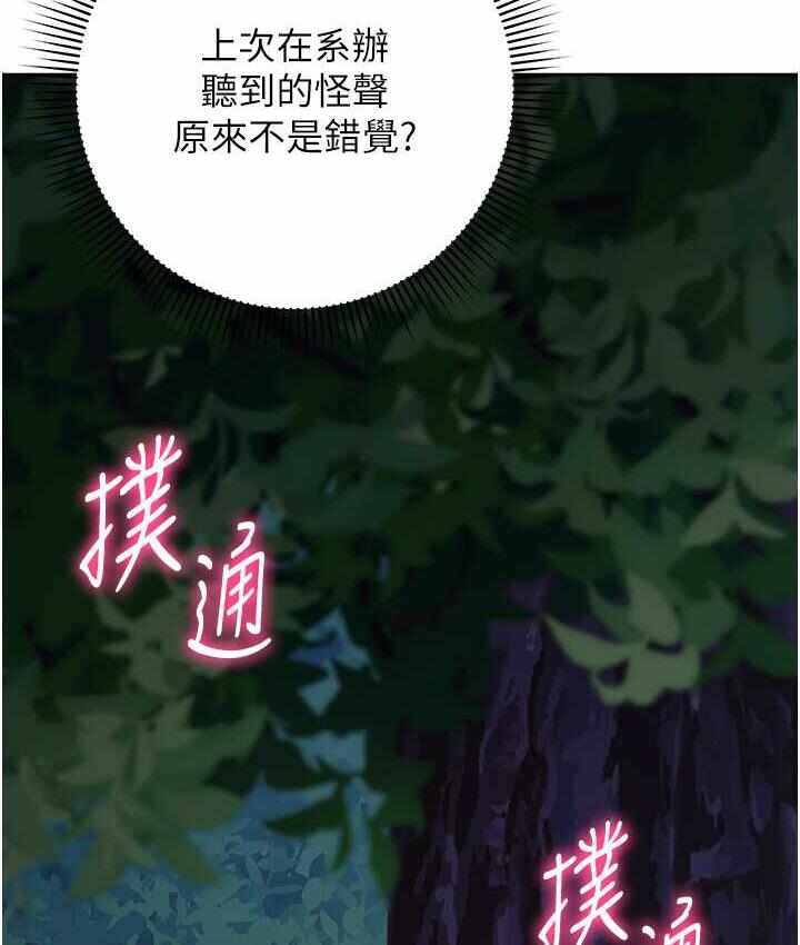 第133张