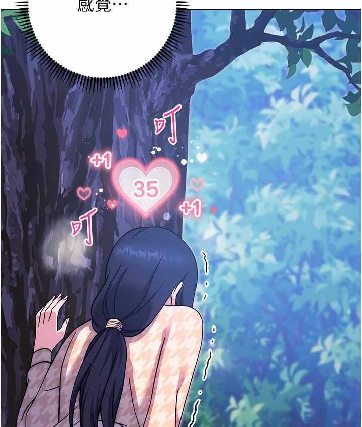 第6张