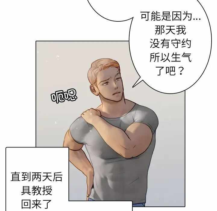 第53张