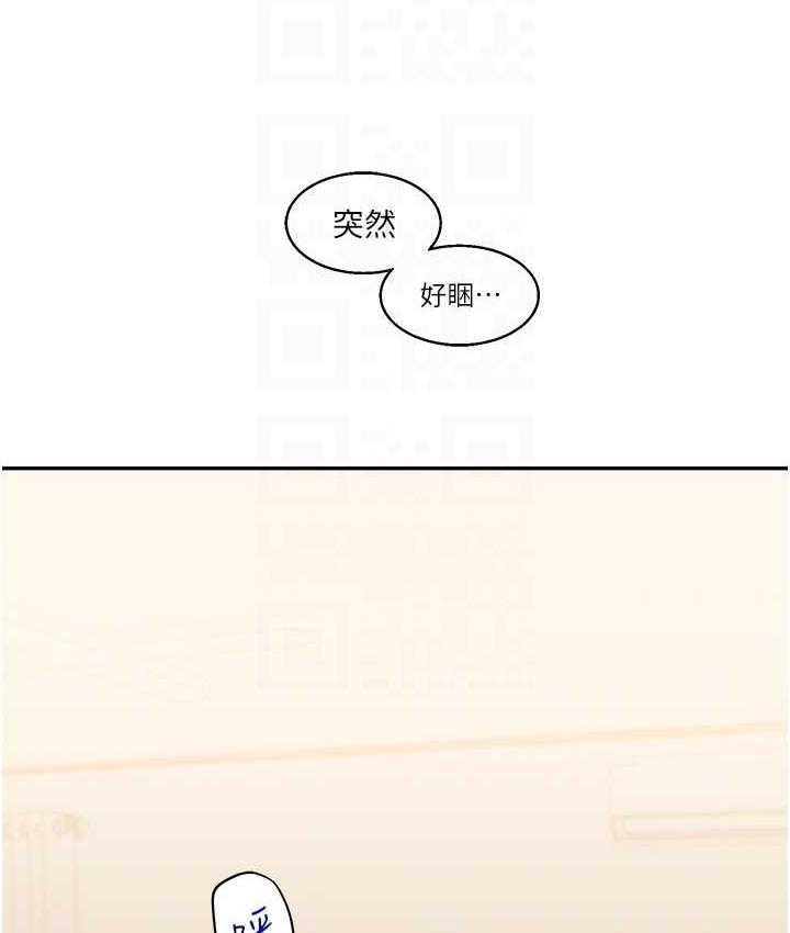 第17张