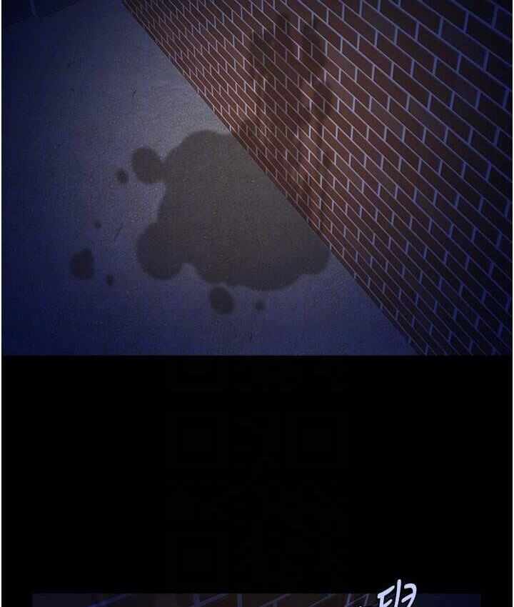 第51张