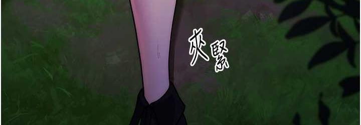 第98张
