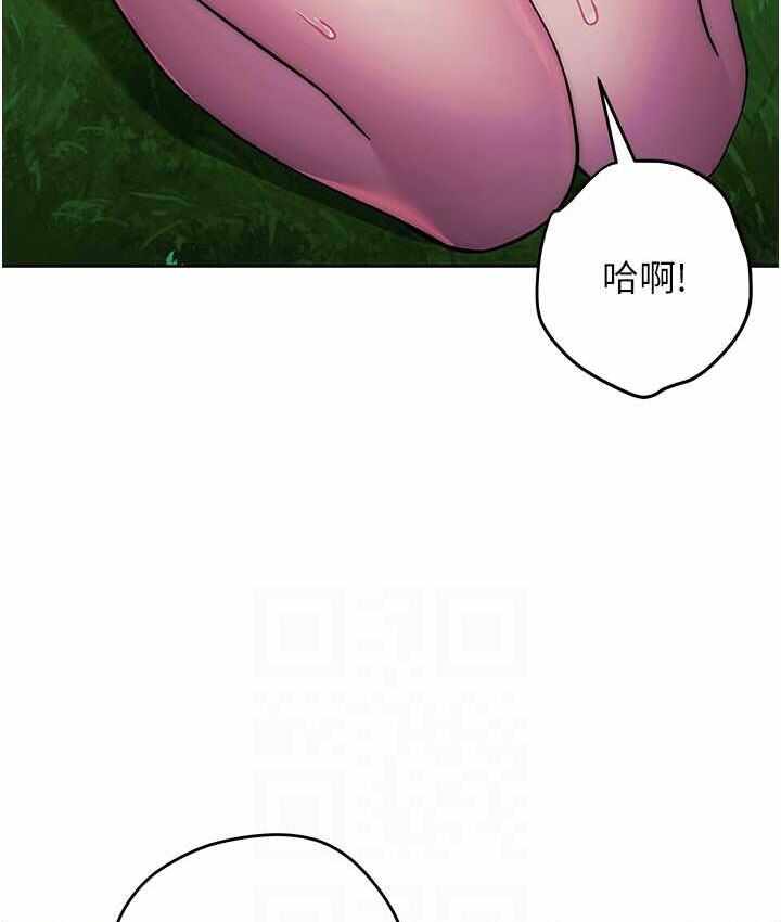 第33张