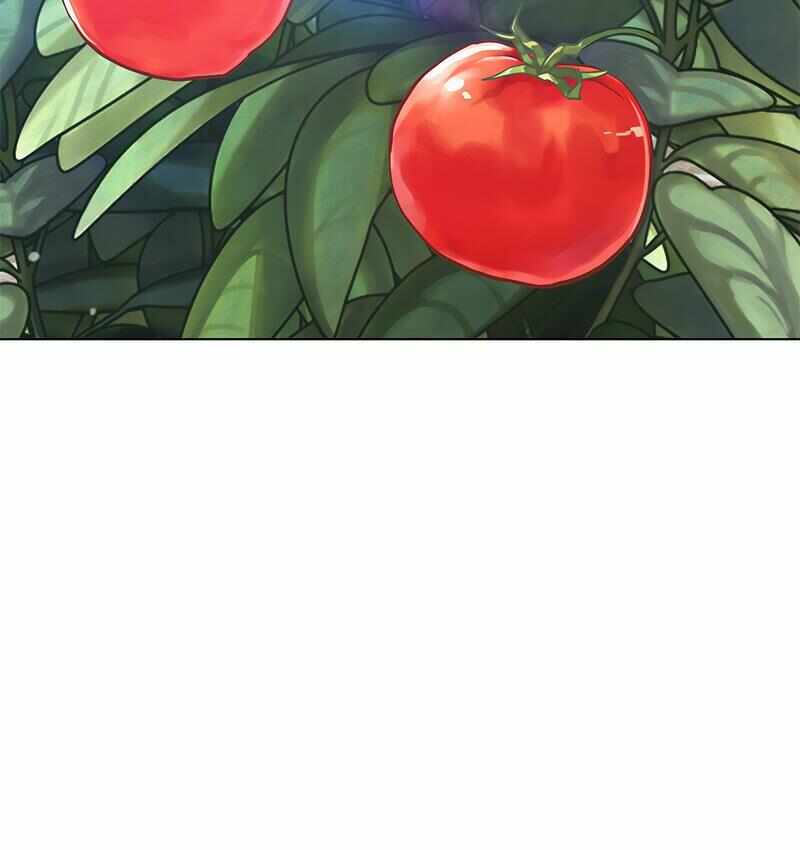 第42张