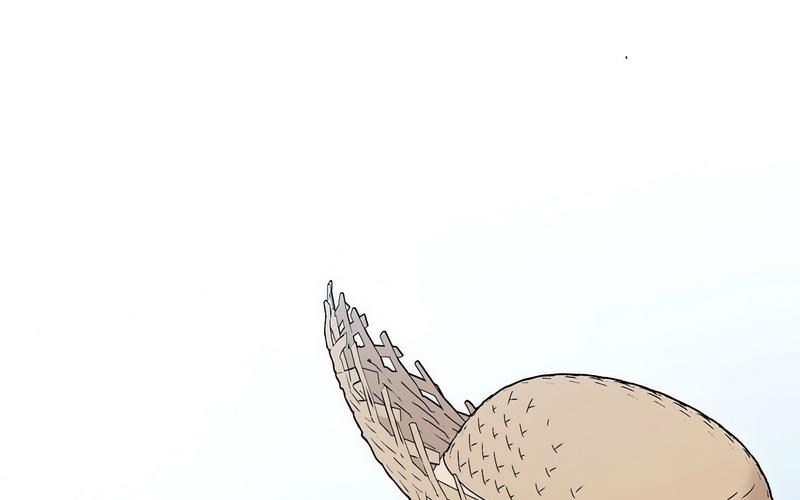 第40张