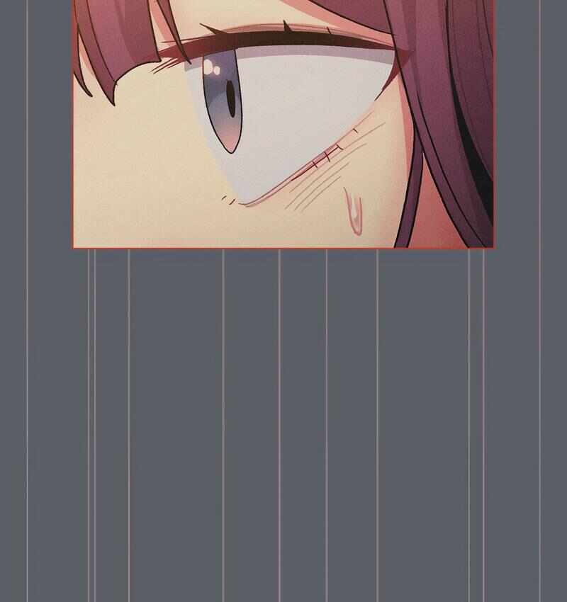 第53张