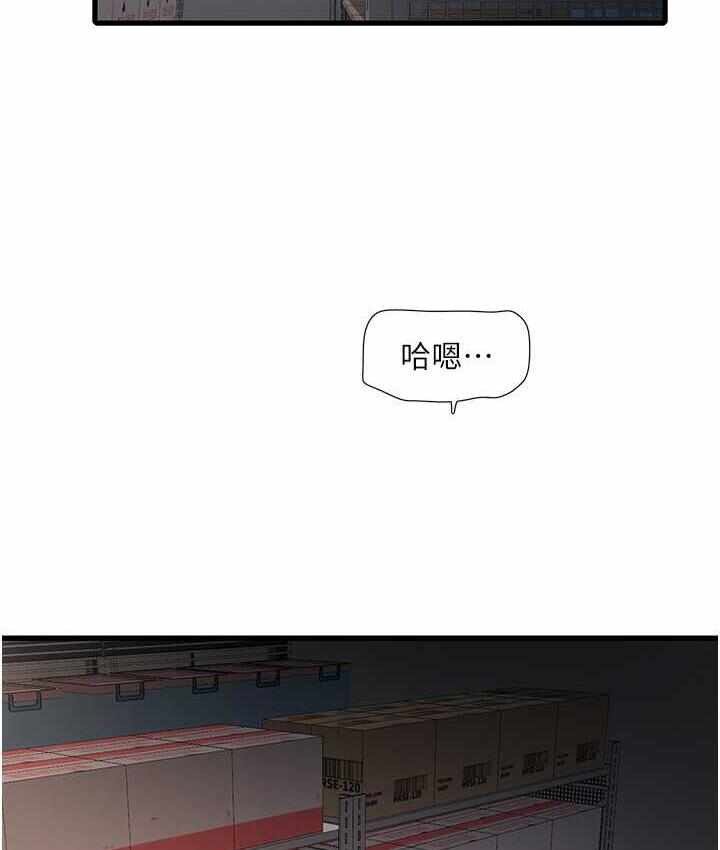 第17张