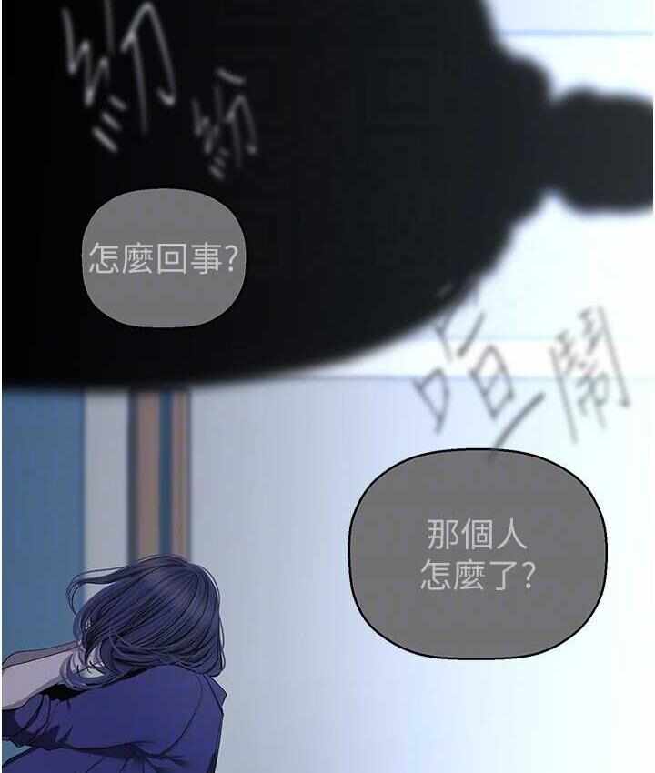 第3张
