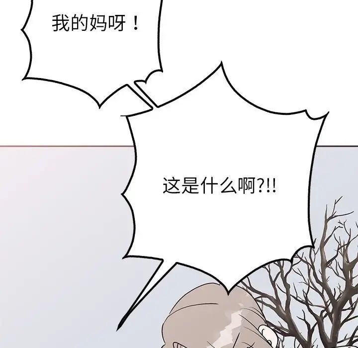 第36张