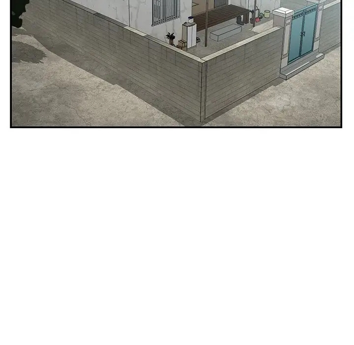 第17张