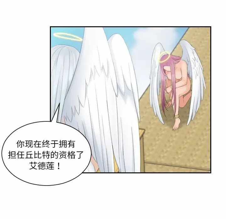 第41张