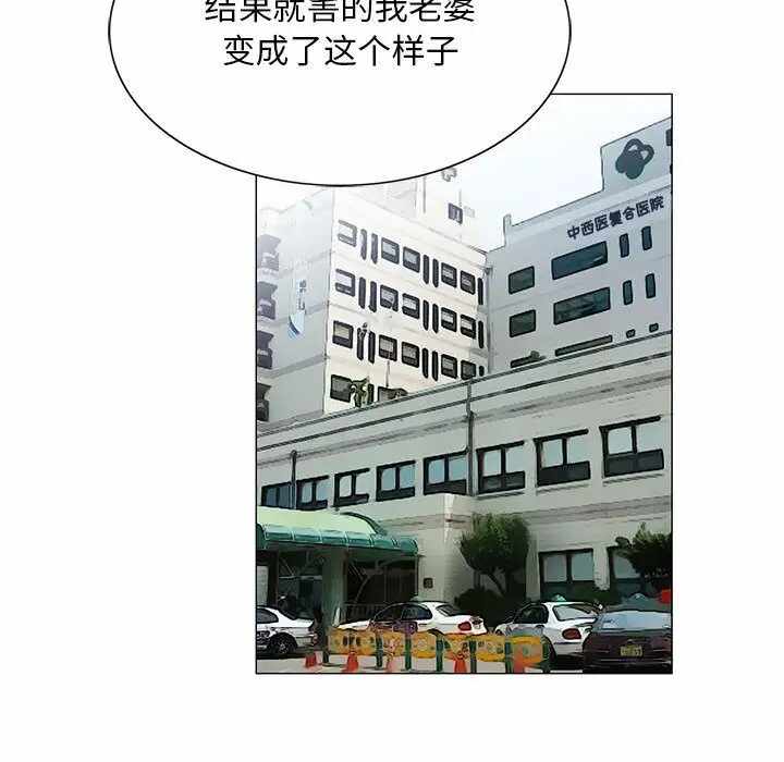 第17张
