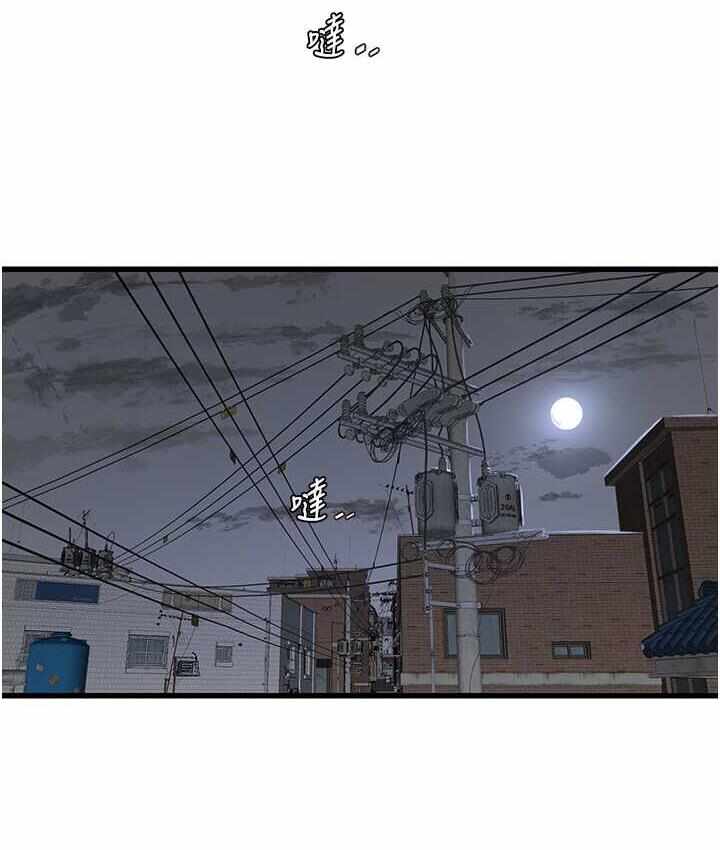 第11张