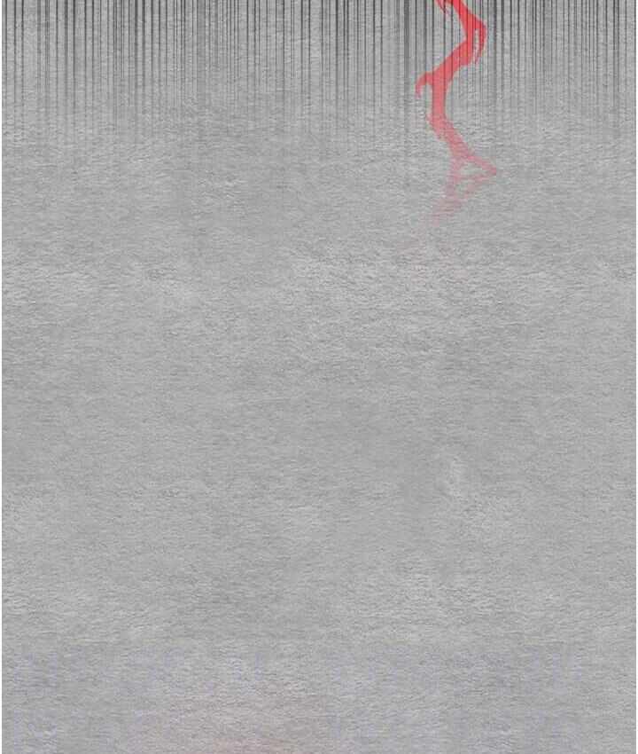 第41张