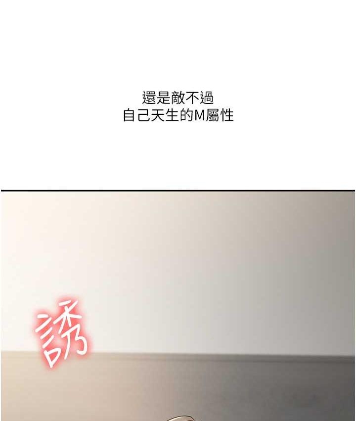 第62张