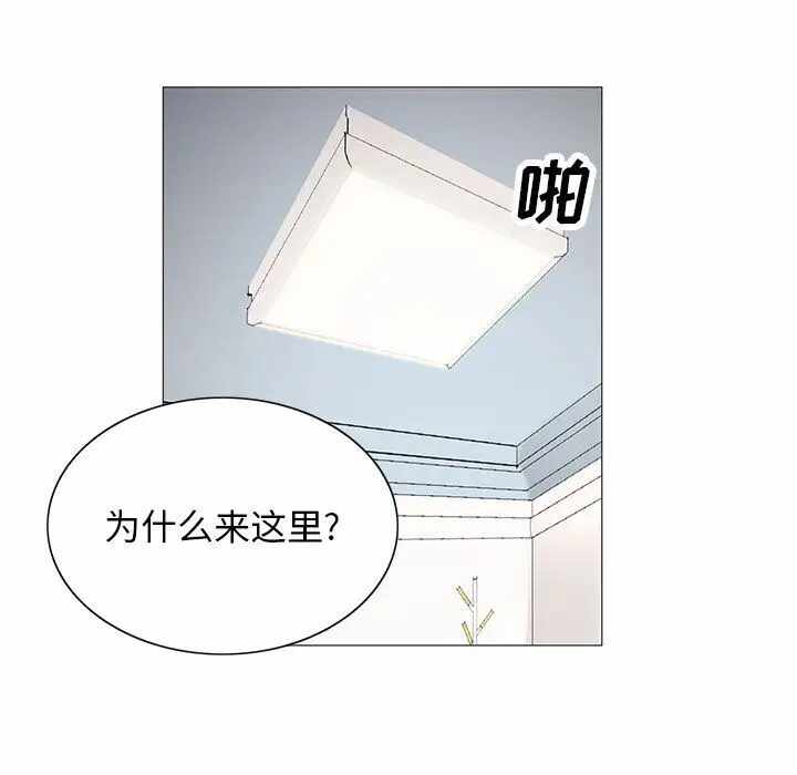 第114张