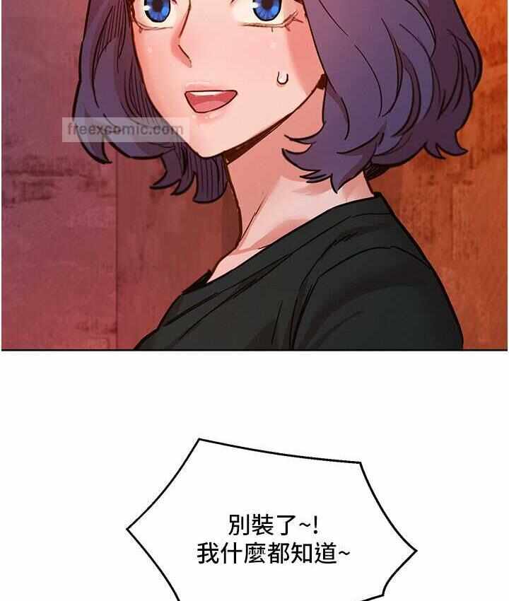 第41张