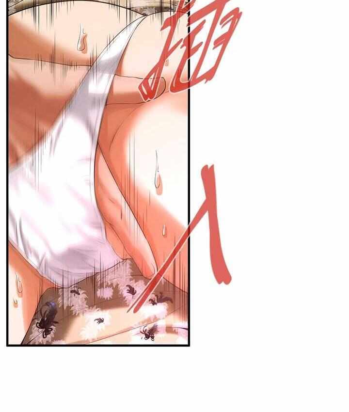 第62张