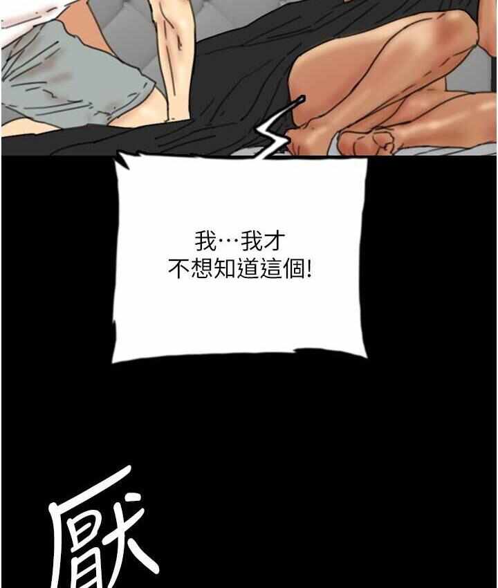 第108张