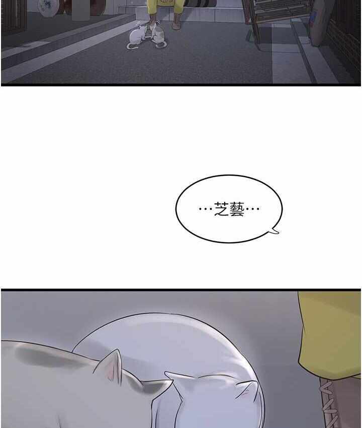 第22张