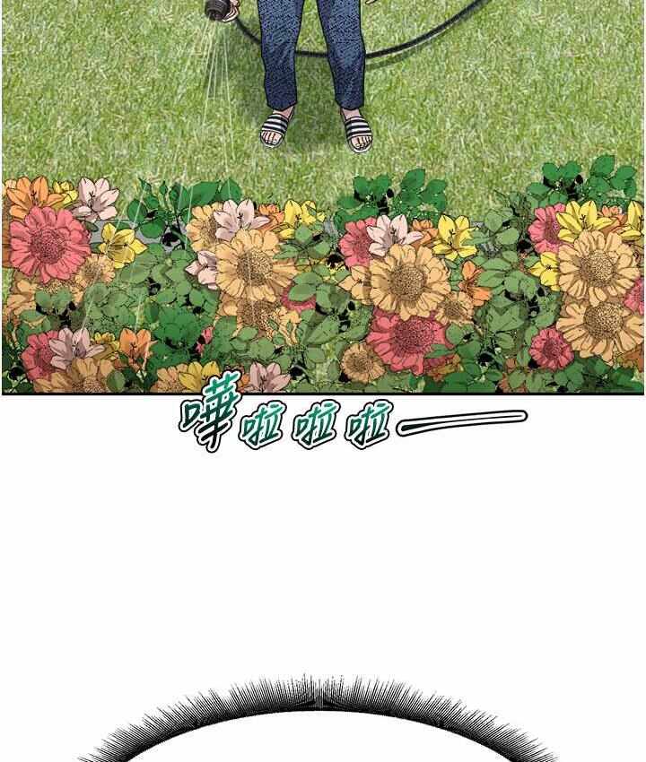第154张