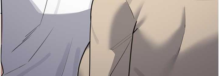 第146张