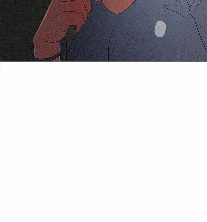 第135张