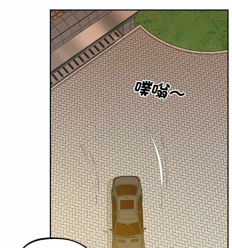 第54张