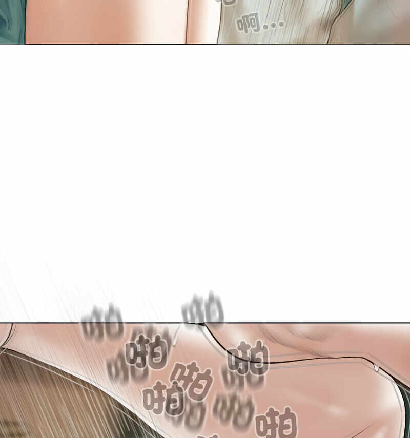 第41张