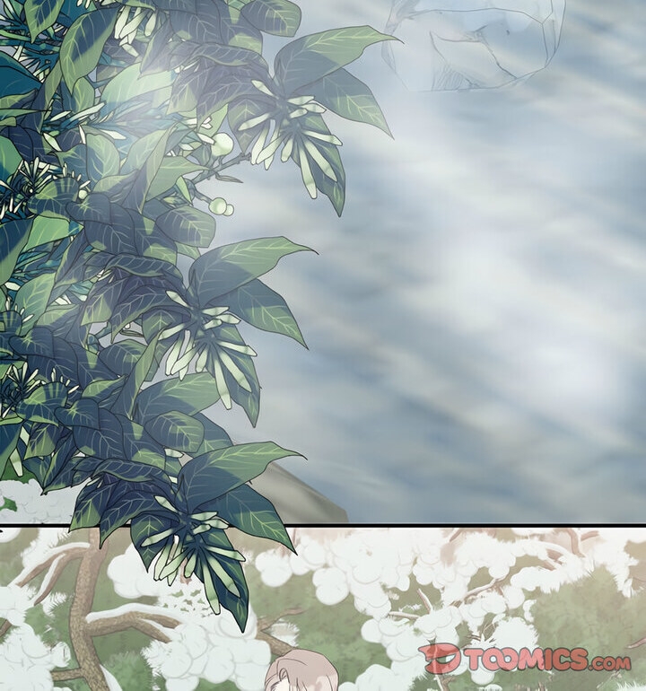 第30张