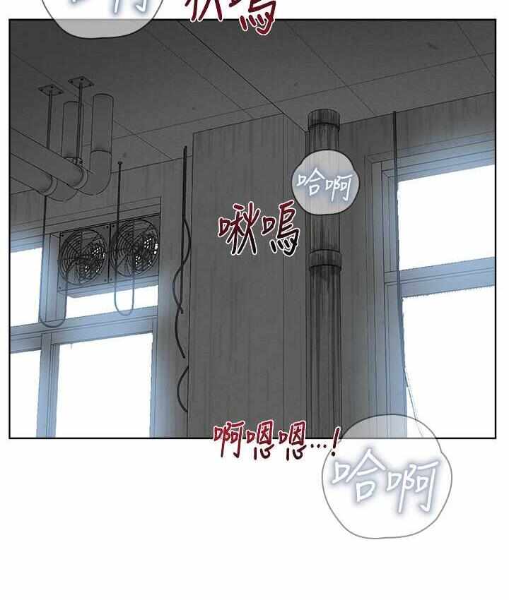 第77张