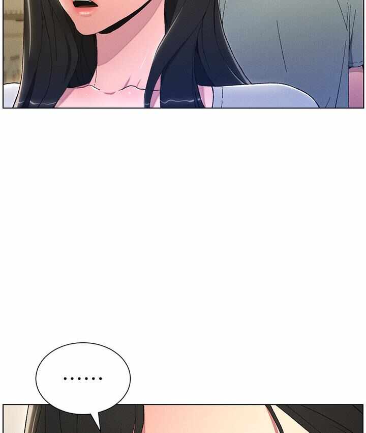 第13张