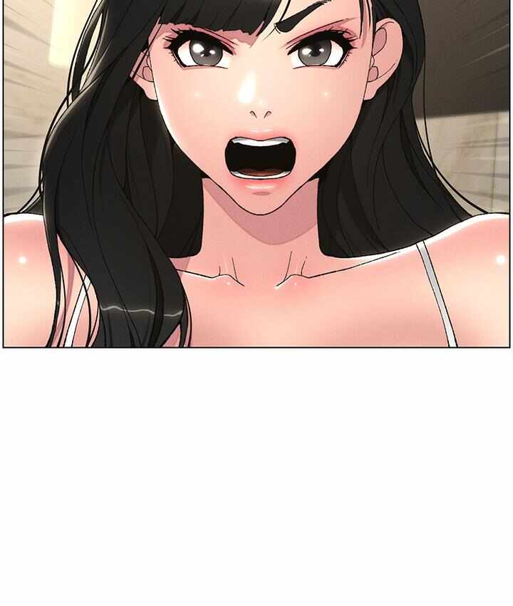 第88张