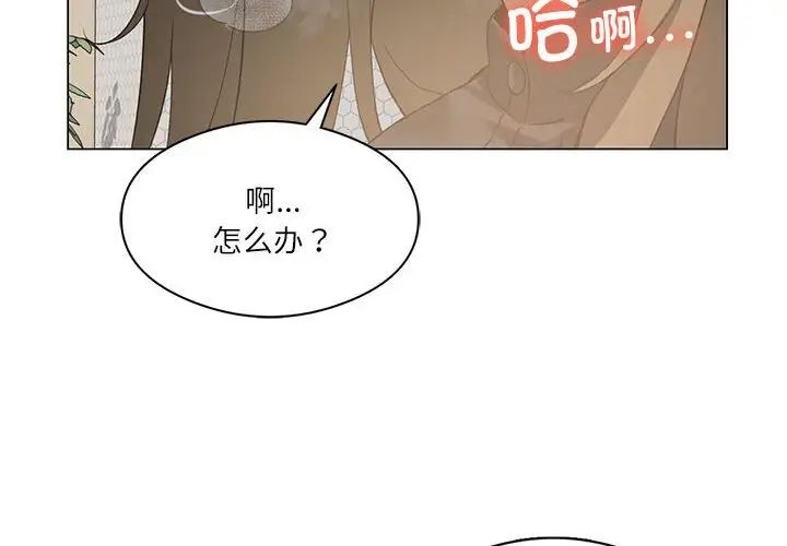 第4张
